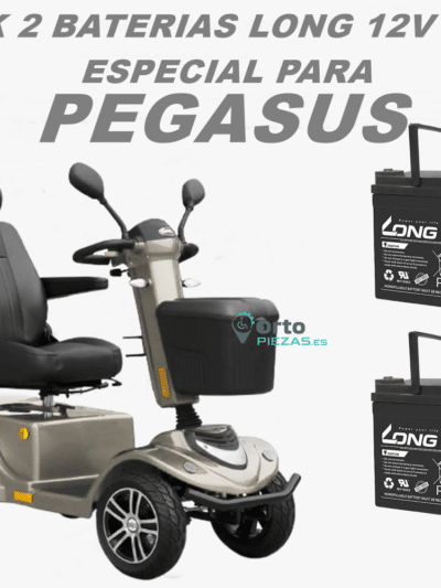 Baterías Pegasus 55Ah – Pack de 2 baterías para scooter Ayudas Dinámicas